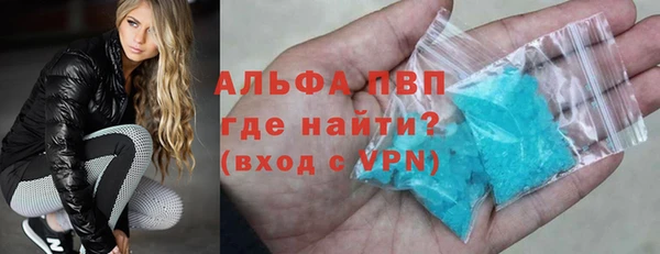 хмурый Осинники