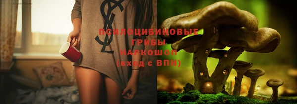 хмурый Осинники