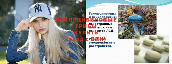 хмурый Осинники