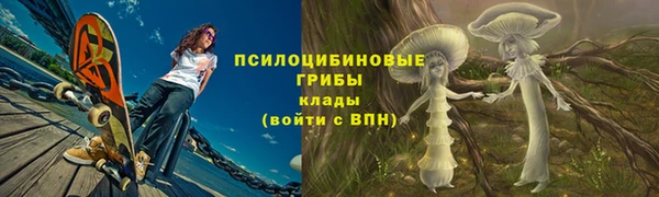 круглые Няндома