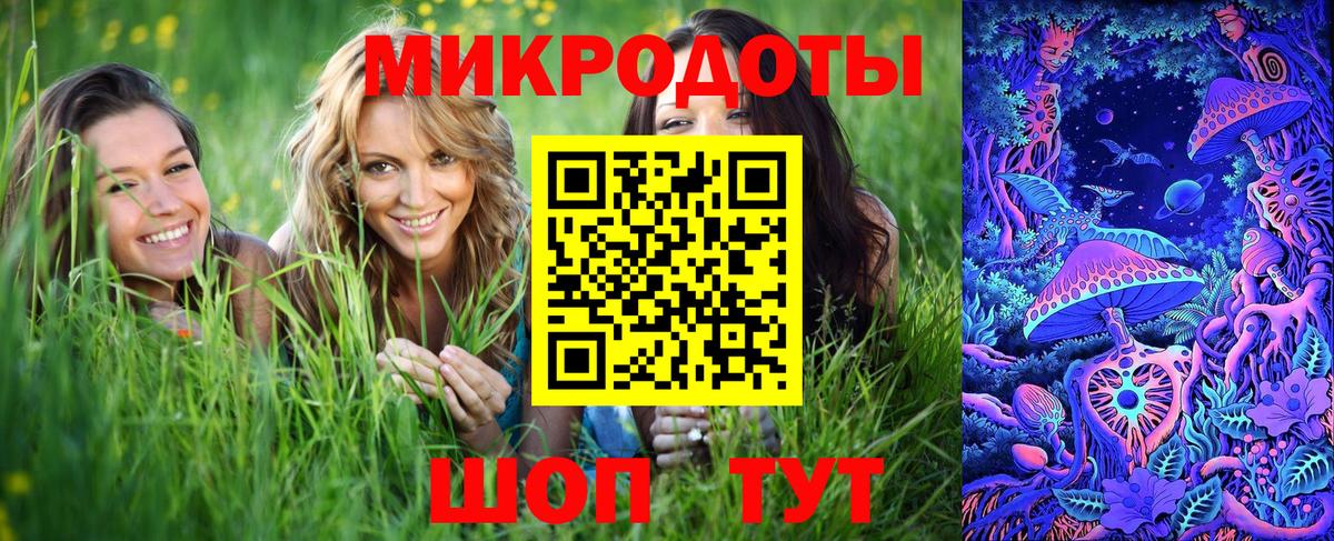 Псилоцибиновые грибы Cubensis Нефтекумск