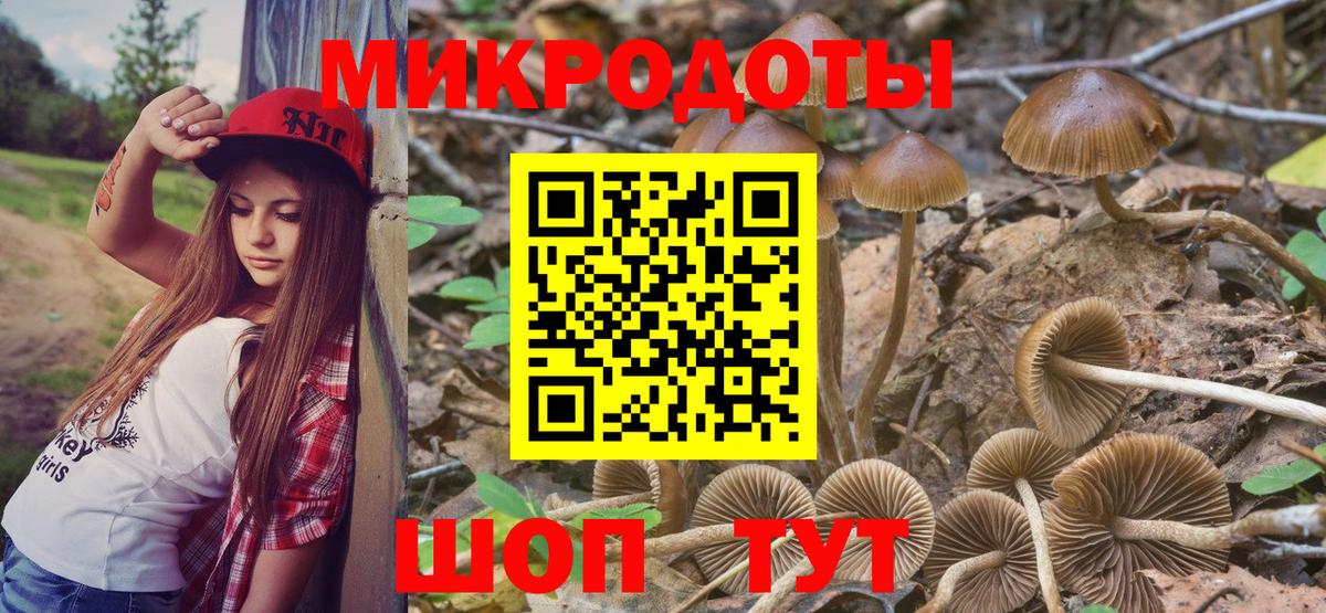 Псилоцибиновые грибы мухоморы  Вход с VPN  Нефтекумск 